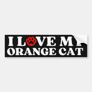 ik hou van mijn Oranje kat Bumpersticker