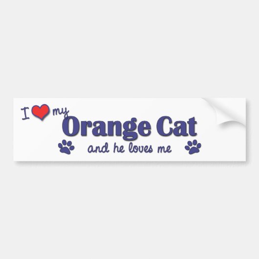Ik hou van mijn Oranje kat (mannenkat) Bumpersticker (Voorkant)