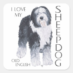 Ik hou van mijn oude Engelse schapendoes Vierkante Sticker
