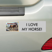 IK HOU VAN MIJN PAAR! BUMPERSTICKER (Op auto)