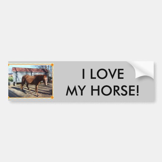 IK HOU VAN MIJN PAAR! BUMPERSTICKER (Voorkant)