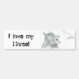 Ik hou van mijn paard bumpersticker