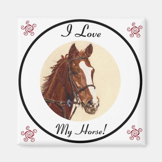 Ik hou van mijn paard! Equestrian Magnet (Voorkant)