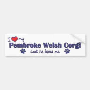 Ik hou van mijn Pembroke Welsh Corgi (Mannelijke h Bumpersticker