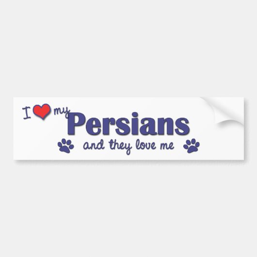 Ik hou van mijn Perzen (meerdere katten) Bumpersticker (Voorkant)