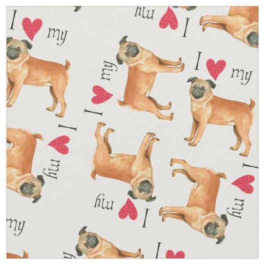 Ik hou van mijn petit Brabancon Stof (Close Up)