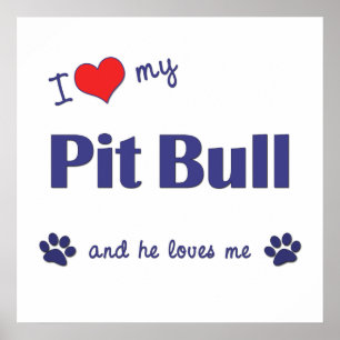 Ik hou van mijn pit bull (mannelijk hond) poster