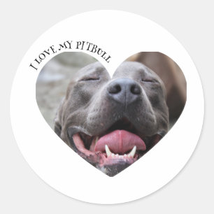 Ik hou van mijn pitbull hond aangepaste foto ronde sticker