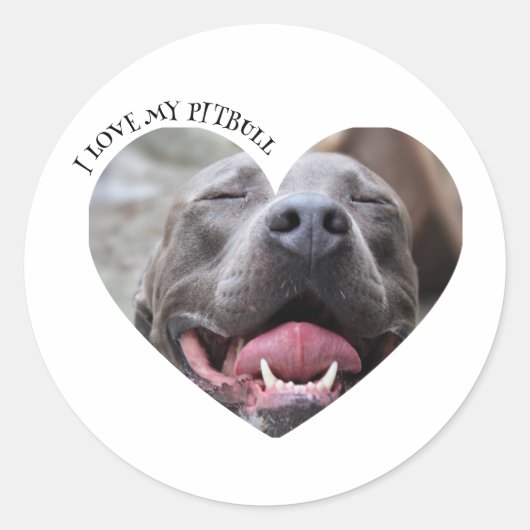 Ik hou van mijn pitbull hond aangepaste foto ronde sticker (Voorkant)