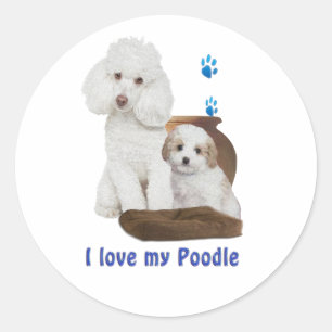 Ik hou van mijn poedel ronde sticker