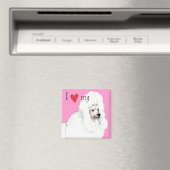 Ik hou van mijn poel magneet (Insitu (Vaatwasser))