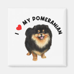 Ik hou van mijn Pommeraanse Cute Pommomeranian Pup Magneet
