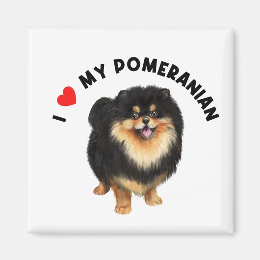 Ik hou van mijn Pommeraanse Cute Pommomeranian Pup Magneet (Voorkant)