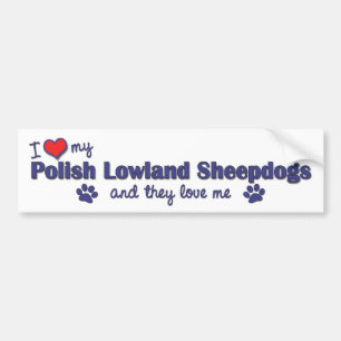 Ik hou van mijn Poolse Lowland Sheepdogs (meervoud Bumpersticker