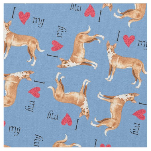 Ik hou van mijn Portugese podengo Stof (Close Up)