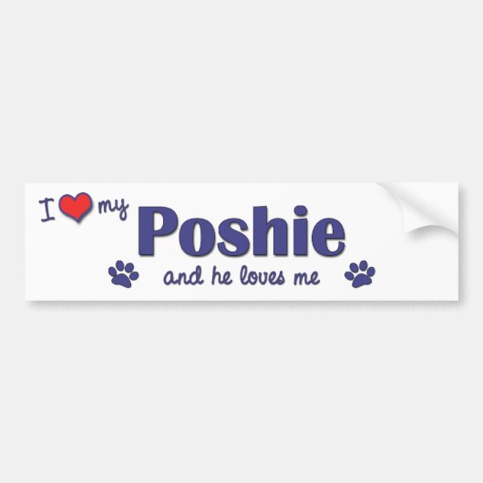 Ik hou van mijn poshie (mannelijke hond) bumpersticker (Voorkant)