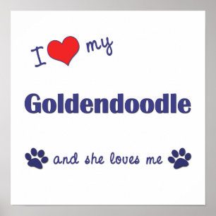 Ik hou van mijn Poster Goldendoedle (Vrouw Dog)