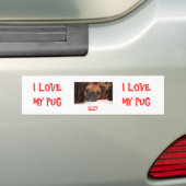 IK HOU VAN MIJN PUG, IZZY, IK HOU VAN MIJN PUG BUMPERSTICKER (Op auto)