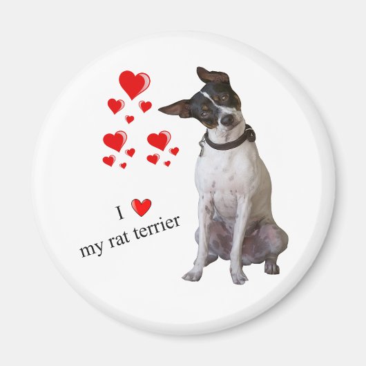 Ik hou van mijn Rat Terrier Magnet (Voorkant)