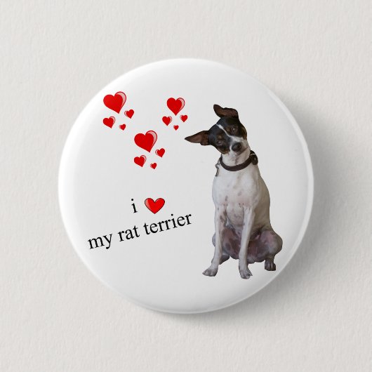 Ik hou van mijn Rat Terrier Ronde Button 5,7 Cm (Voorkant)