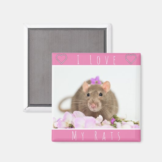 Ik hou van mijn ratten magneet (Voorkant / Achterkant)