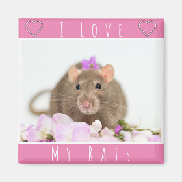Ik hou van mijn ratten magneet