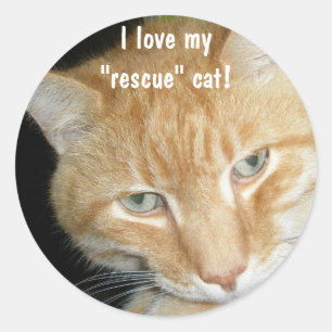 Ik hou van mijn reddingskat. Stickers