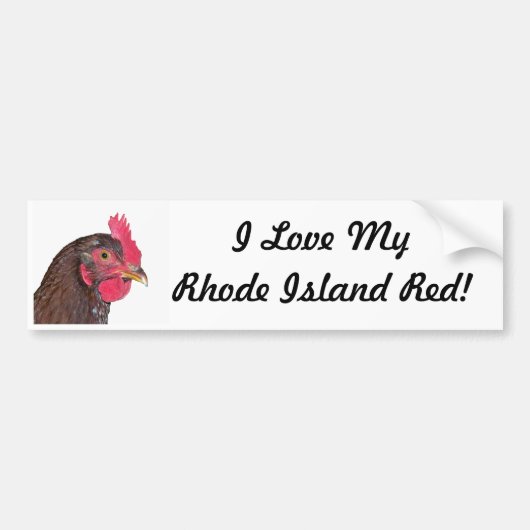 "Ik hou van mijn Rhode Island Red" Bumpersticker (Voorkant)