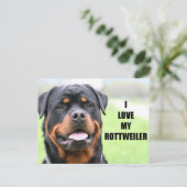 Ik hou van mijn rottweiler briefkaart (Staand voorkant)