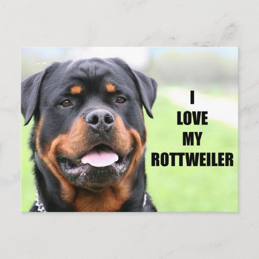 Ik hou van mijn rottweiler briefkaart (Voorkant)