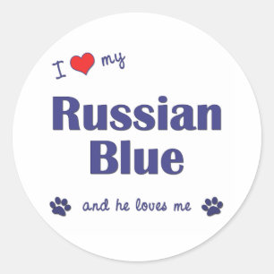 Ik hou van mijn Russisch blauw (mannenkat) Ronde Sticker