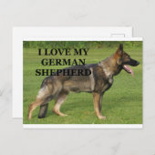 Ik hou van mijn sabel Duitse herder Briefkaart (Voorkant / Achterkant)