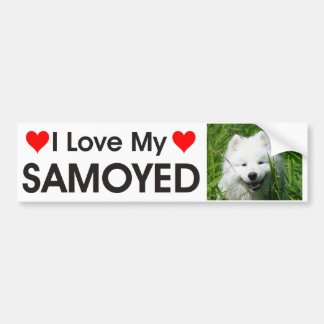 Ik hou van mijn Samoyed Bumpersticker