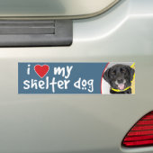 Ik hou van mijn schelpdiertje, Black Lab Mix Bumpersticker (Op auto)