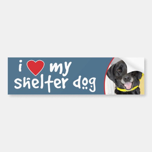 Ik hou van mijn schelpdiertje, Black Lab Mix Bumpersticker (Voorkant)