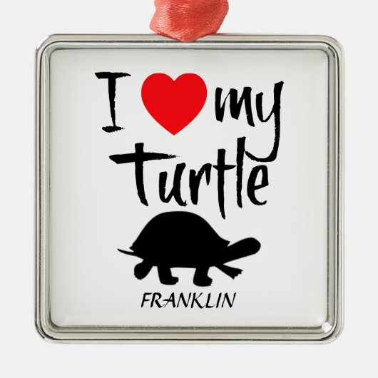 Ik hou van mijn schildpad metalen ornament (Voorkant)