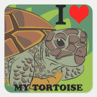 Ik hou van mijn schildpad vierkante Sticker