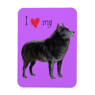 Ik hou van mijn Schipperke Magneet