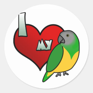 Ik hou van mijn Senegalese papegaai Ronde Sticker