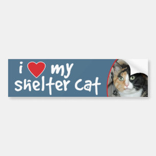 Ik hou van mijn Shelter Cat Calico Bumpersticker/D Bumpersticker