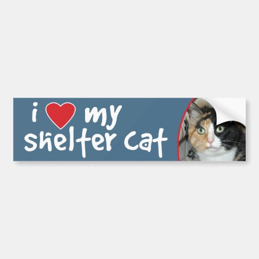Ik hou van mijn Shelter Cat Calico Bumpersticker/D Bumpersticker (Voorkant)