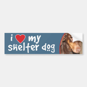 Ik hou van mijn Shelter Dog Doberman Bumpersticker