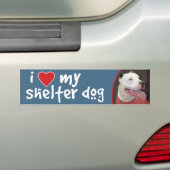 Ik hou van mijn Shelter Dog-Pitbull Bumpersticker/ Bumpersticker (Op auto)