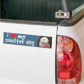 Ik hou van mijn Shelter Dog-Pitbull Bumpersticker/ Bumpersticker (Op Truck)