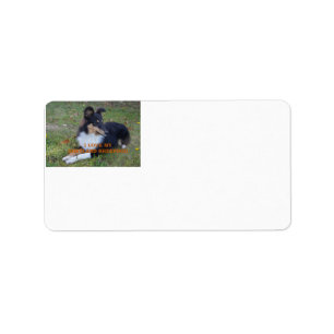 Ik hou van mijn Shetland Sheepdog Black Tri Etiket