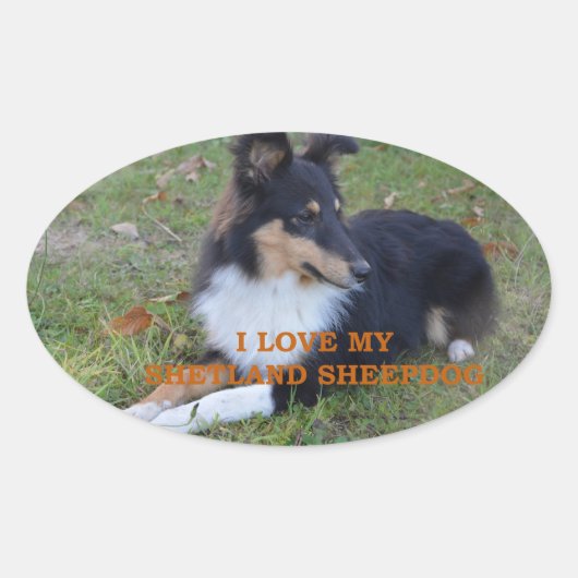 Ik hou van mijn Shetland Sheepdog Black Tri Ovale Sticker (Voorkant)
