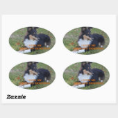 Ik hou van mijn Shetland Sheepdog Black Tri Ovale Sticker (Vel)