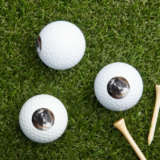 Ik hou van mijn Shetland Sheepdog Golfballen (Insitu Gras)