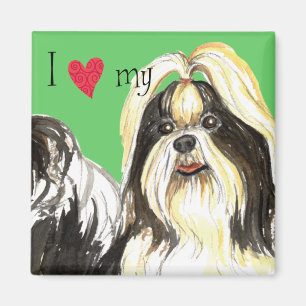 Ik hou van mijn Shih Tzu Magneet