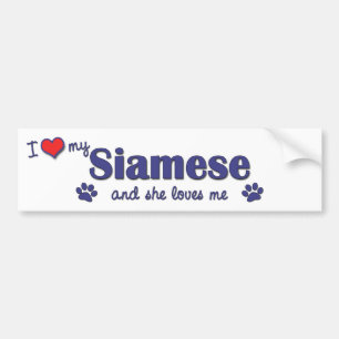 Ik hou van mijn Siamese (Vrouw kat) Bumpersticker